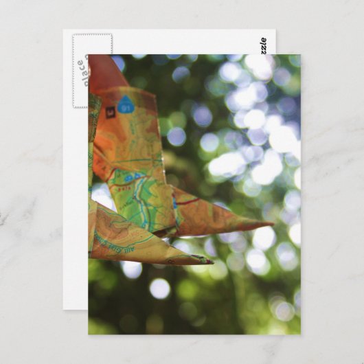 折紙 ポストカード (正面/裏面)