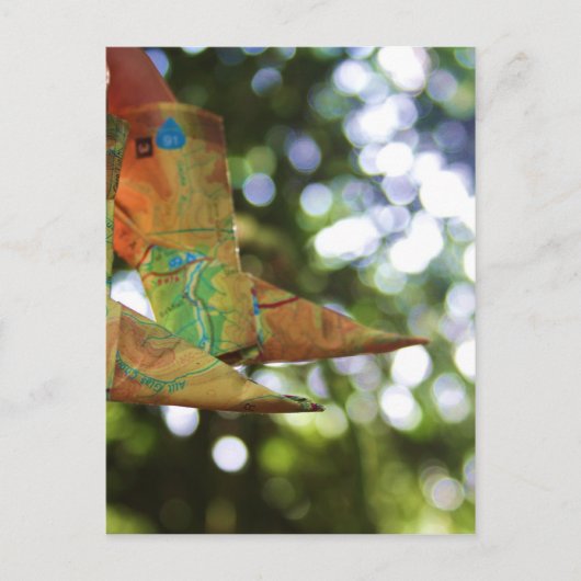 折紙 ポストカード (正面)