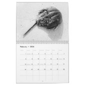 折衷暦 カレンダー (2月 2026)