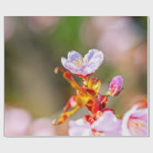 抜群のピンク桜花 ラッピングペーパー (フラット)