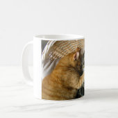 抱きしめている2匹の睡眠の虎猫猫 コーヒーマグカップ (正面左)