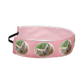 抱きしめているHaflingerのロバおよび子馬 アスレチックヘッドバンド (左)