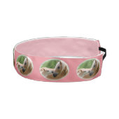 抱きしめているHaflingerのロバおよび子馬 アスレチックヘッドバンド (右)