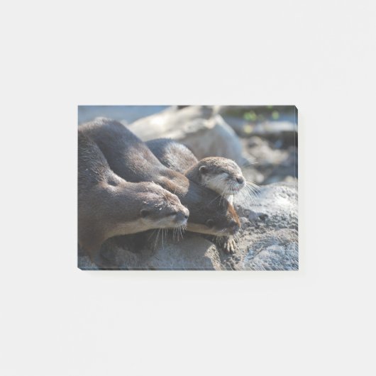抱きしめるカワウソ ポストイット (正面)