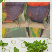抱きしめるLorikeetsの台所タオル キッチンタオル (折り畳み)