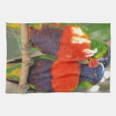 抱きしめるLorikeetsの台所タオル キッチンタオル (横)