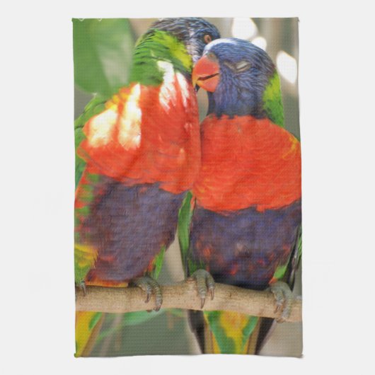 抱きしめるLorikeetsの台所タオル キッチンタオル (縦)