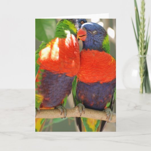 抱きしめるLorikeetsの挨拶状 カード (正面)