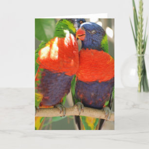 抱きしめるLorikeetsの挨拶状 カード