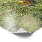 抱き上げるカエル フォトプリント            (角)