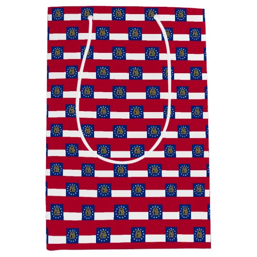 抱き枕とジョージア州旗，米国 ミディアムペーパーバッグ (正面)
