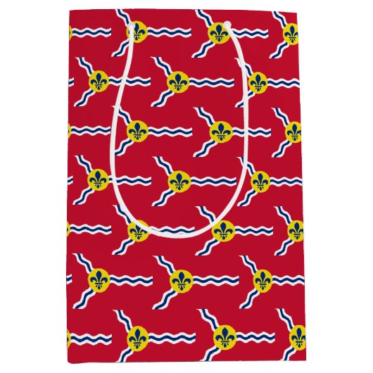 抱き枕と米国セントルイス州旗 ミディアムペーパーバッグ (正面)