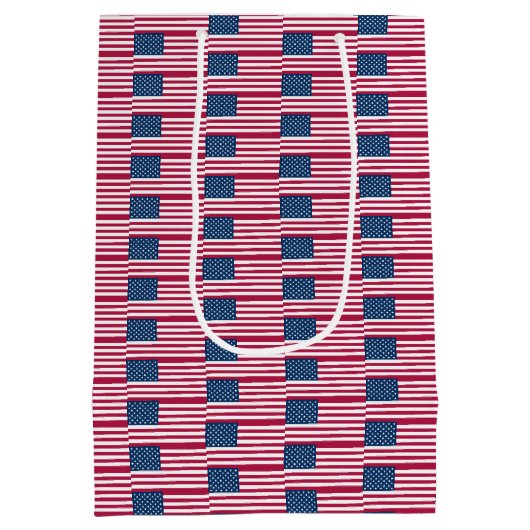 抱き枕と米国国旗 ミディアムペーパーバッグ (裏面)