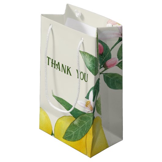 抱き枕カスタムレモンリーフサンキュースモール スモールペーパーバッグ (正面アングル)