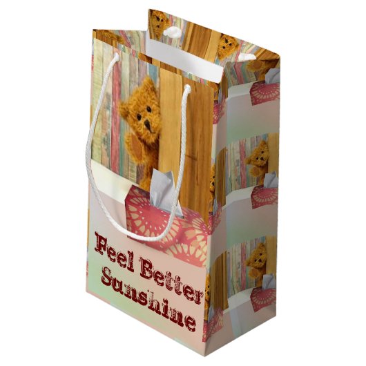 抱き枕テディベアベ感じアウター スモールペーパーバッグ (裏面アングル)