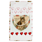 抱き枕バレンタイン スモールペーパーバッグ (正面)