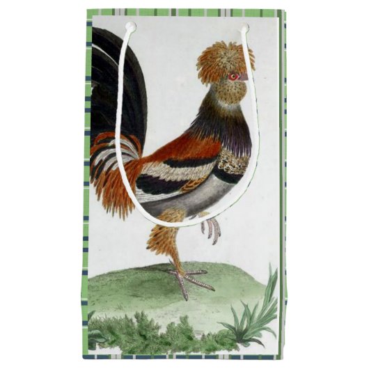 抱き枕フランスのバードグリーン スモールペーパーバッグ (正面)