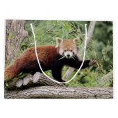 抱き枕写真赤パンダ動物0271。 ラージペーパーバッグ (裏面)