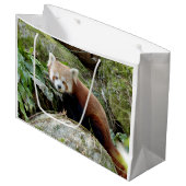 抱き枕写真赤パンダ動物0271。 ラージペーパーバッグ (正面アングル)