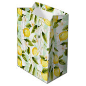 抱き枕夏の雰囲気 ミディアムペーパーバッグ (裏面アングル)