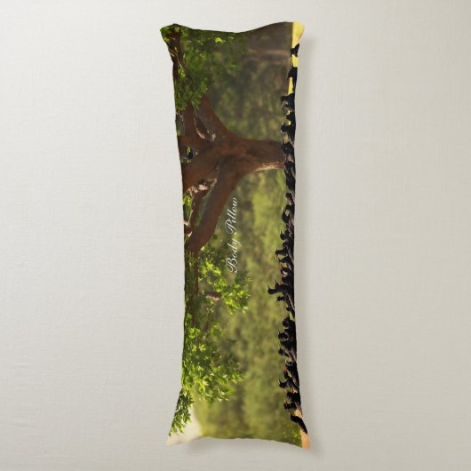 抱き枕 (正面縦)