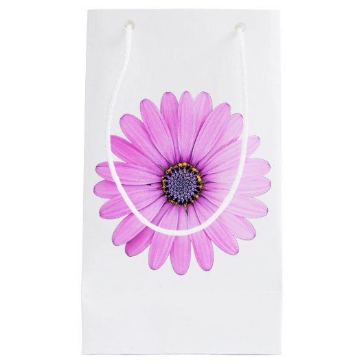 抱き枕 スモールペーパーバッグ (正面)