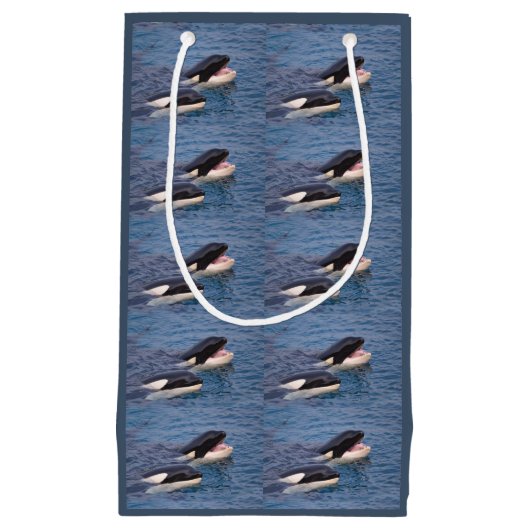 抱き枕 スモールペーパーバッグ (正面)