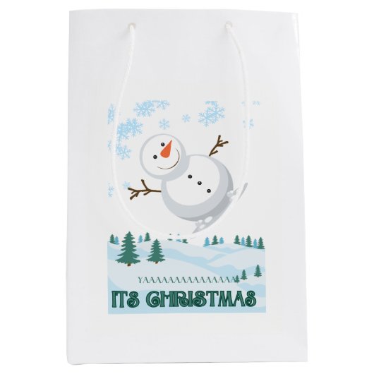 抱き枕 ミディアムペーパーバッグ (正面)