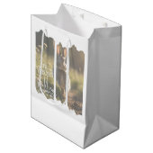 抱き枕 ミディアムペーパーバッグ (正面アングル)