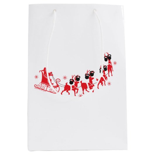 抱き枕 ミディアムペーパーバッグ (正面)