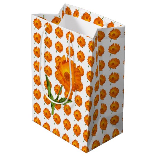 抱き枕- Calendula Bloms ミディアムペーパーバッグ (裏面アングル)