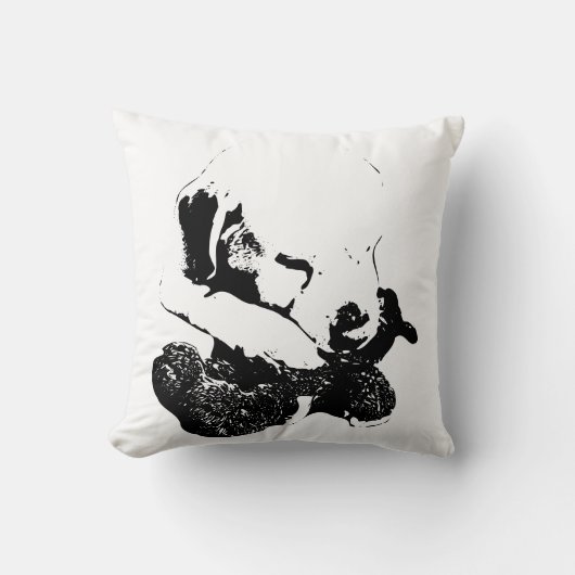 抱き締めお気に入りのる クッション (正面)