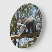 抱っこしたくなる大きめのオスのオーストラリアコアラ ラージ壁時計 (傾斜)