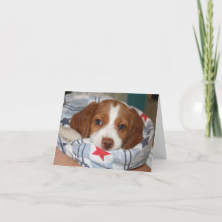 抱擁のブリッタニーの子犬Notecard カード