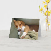 抱擁の子犬のメッセージカード カード (黄色い花)