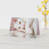 抱擁の子猫の挨拶状 カード (黄色い花)