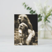 抱擁 ポストカード (スタンド正面)