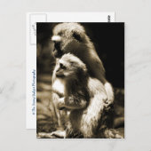 抱擁 ポストカード (正面/裏面)