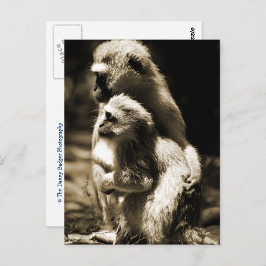 抱擁 ポストカード (正面/裏面)