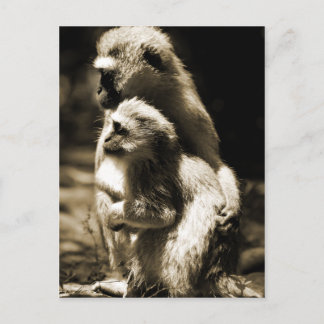 抱擁 ポストカード