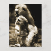 抱擁 ポストカード (正面)