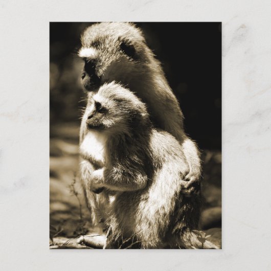 抱擁 ポストカード (正面)