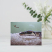 抱擁 ポストカード (スタンド正面)