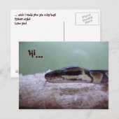 抱擁 ポストカード (正面/裏面)