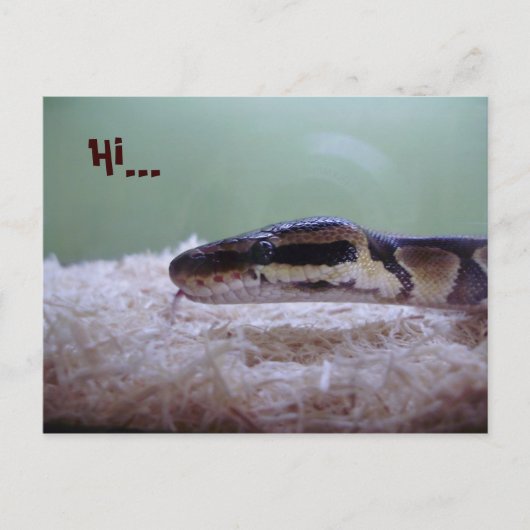 抱擁 ポストカード (正面)