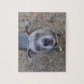 抵抗できないピットブルのパズル ジグソーパズル (縦)