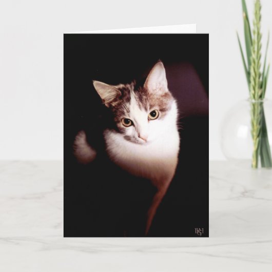 抵抗できない カード (正面)