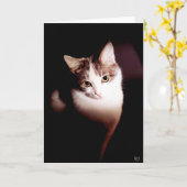 抵抗できない カード (黄色い花)