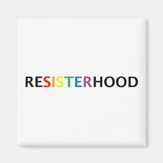 抵抗磁石 マグネット (正面)