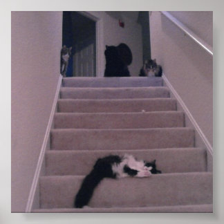 押さえてない！ ポスター